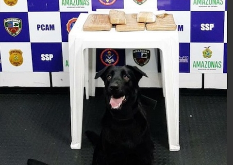 Drogas avaliadas em R$ 40 mil são apreendidas no Amazonas