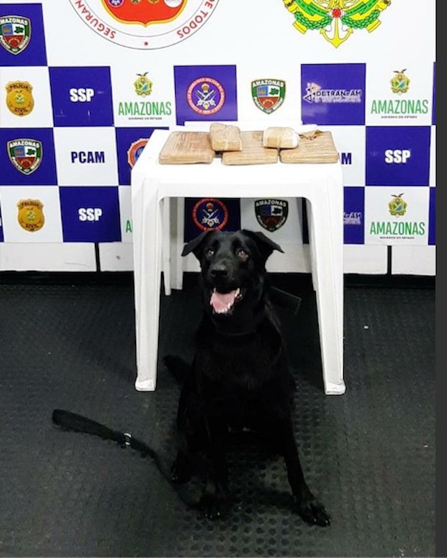 Drogas avaliadas em R$ 40 mil são apreendidas no Amazonas