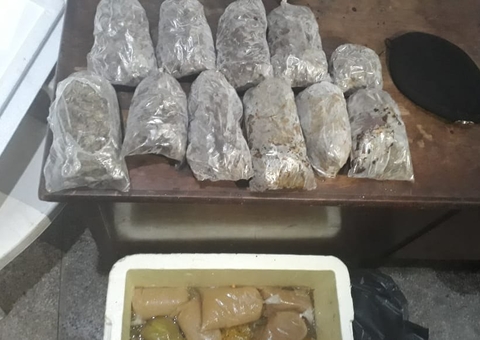 Polícia apreende droga camuflada em polpas de açaí no Amazonas 