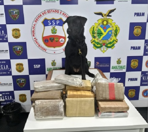 Suspeito é preso com 23 kg de drogas em forro de embarcação no Amazonas