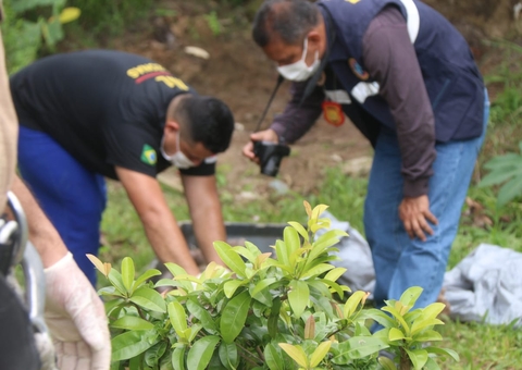 Corpo com perfuração na cabeça é encontro dentro de igarapé em Manaus