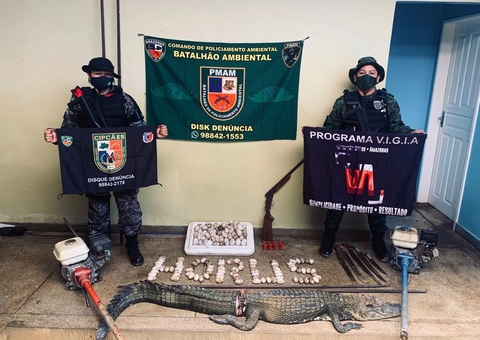 Seis pessoas são presas após abater jacaré no Amazonas 