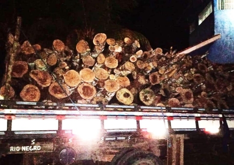 Cinco são detidos com lenha e carvão ilegal nas rodovias AM-010 e 070