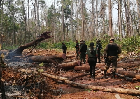 Mais de 3,7 mil hectares de terras são embargadas no Sul do Amazonas 