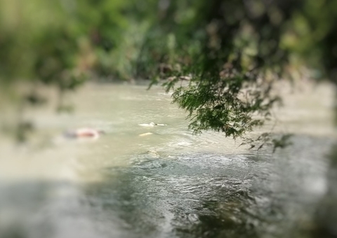Corpo é achado boiando em igarapé de Manaus, acompanhe ao vivo