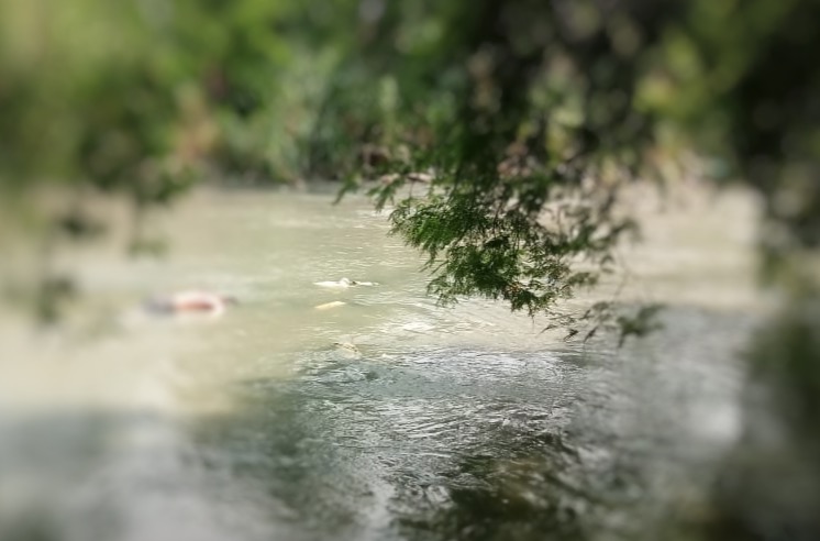 Corpo é achado boiando em igarapé de Manaus, acompanhe ao vivo