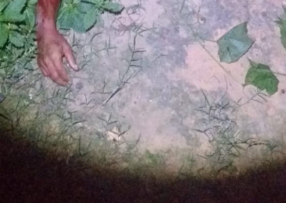 Homem é encontrado morto atrás de casa em Manaus