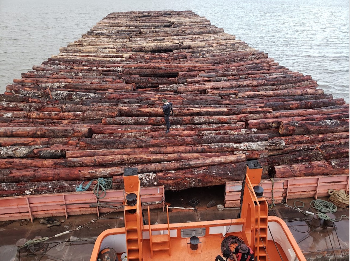 Polícia Federal apreende madeira ilegal no Amazonas 