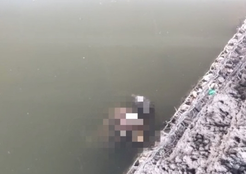 Após se envolver em briga, homem é encontrado morto em igarapé de Manaus