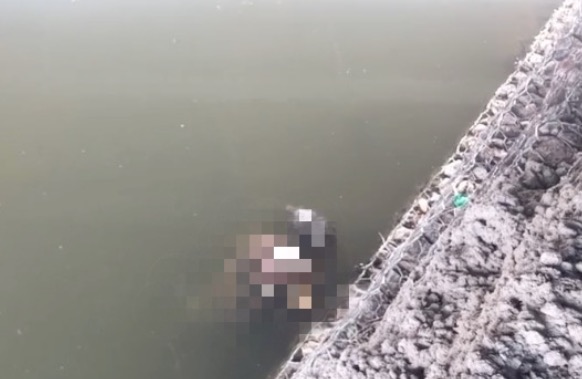 Após se envolver em briga, homem é encontrado morto em igarapé de Manaus