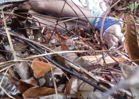 Com mãos e pés amarrados, jovem é encontrado morto na AM-010