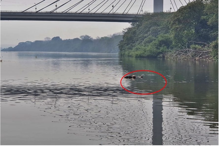 Suspeito de estupro, professor é encontrado morto às margens de rio