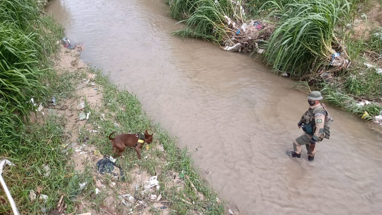 Cães farejadores tentam achar bebê que foi jogada em igarapé de Manaus