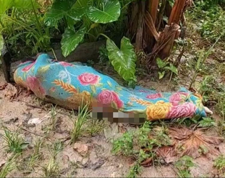 Desaparecida há dias, mulher é encontrada morta em área de mata em Manaus