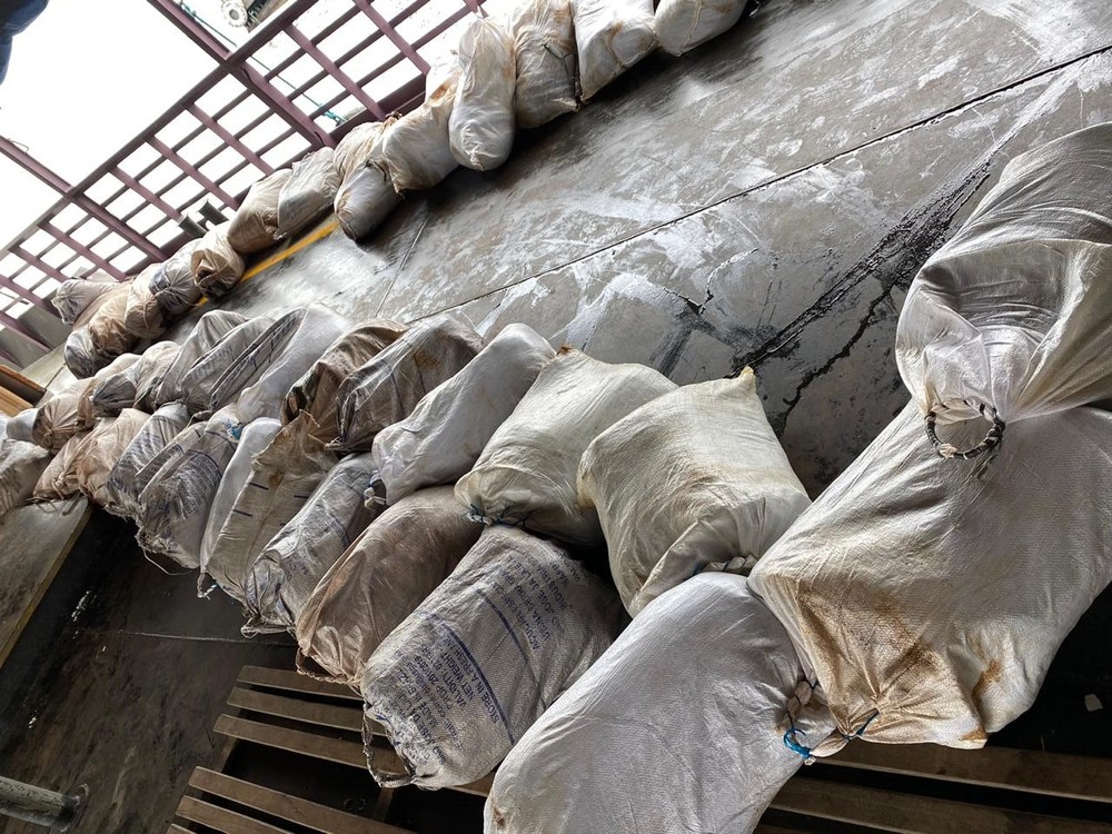 Mais de 3 toneladas de pirarucu são apreendidos em Porto de Manaus