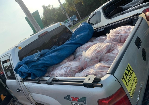 Polícia apreende quase 2 toneladas de pescado ilegal em Manaus