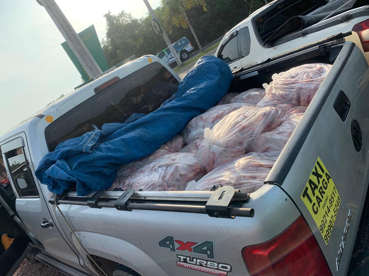 Polícia apreende quase 2 toneladas de pescado ilegal em Manaus