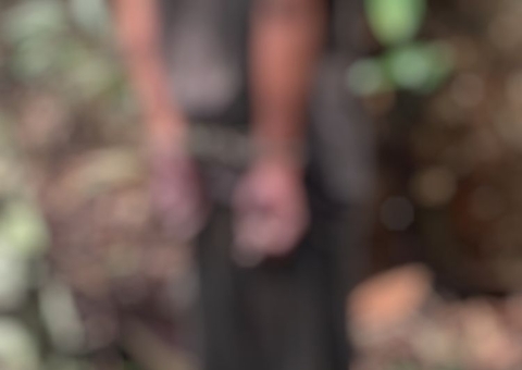 Corpo é encontrado pendurado em árvore com mãos amarradas na AM-010