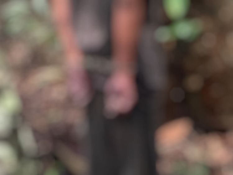 Corpo é encontrado pendurado em árvore com mãos amarradas na AM-010