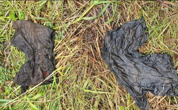 Restos mortais e algema são encontrados em olaria da AM-070