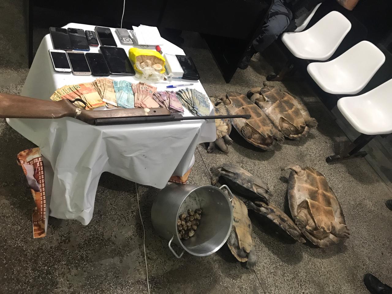 Três são presos com drogas e quelônios no Amazonas