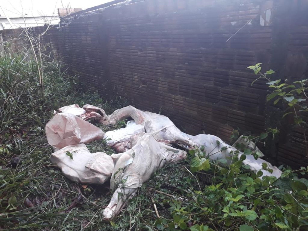 Polícia frusta furto a quartos de boi em açougue de Manaus 