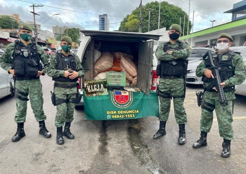 600 quilos de pescado ilegal são apreendidos no Amazonas