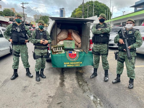 600 quilos de pescado ilegal são apreendidos no Amazonas