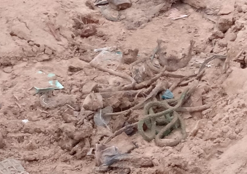 Ossada humana achada em Manaus pode ser de homem desaparecido há meses