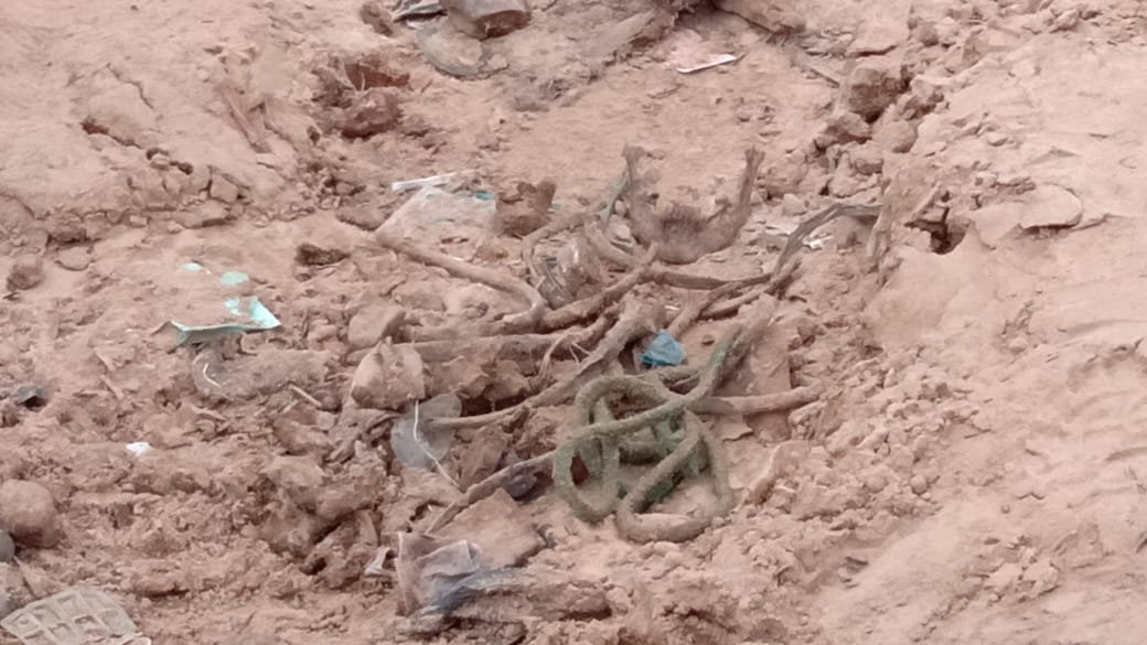 Ossada humana achada em Manaus pode ser de homem desaparecido há meses