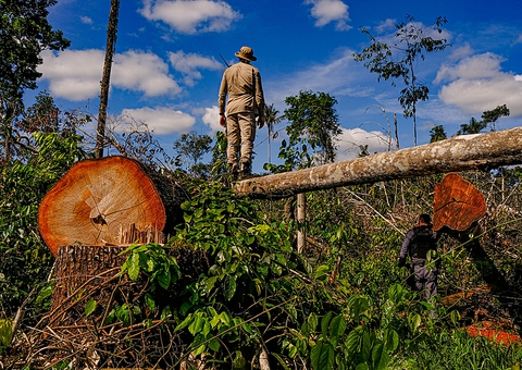 Ao STF, Bolsonaro nega omissão no combate ao desmatamento