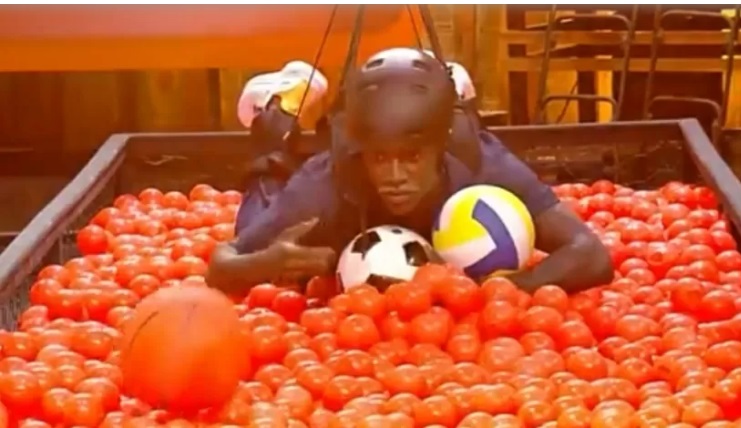 Pelé Milflows é o novo fazendeiro 