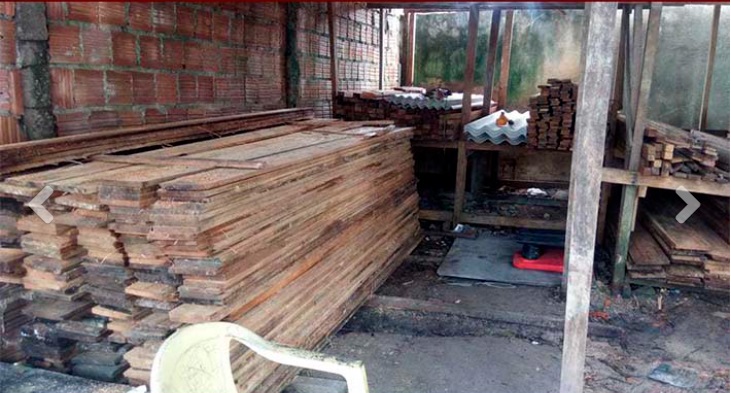 Polícia apreende 22 metros cúbicos de madeira ilegal em depósito clandestino em Manaus