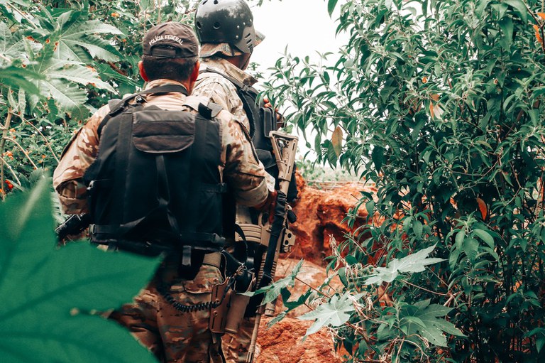 PF prende 2 homens e destrói 256 mil pés de maconha durante operação