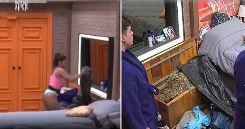 Ingrid joga cocô de cavalo nas roupas de Vini: 'Só fala m*rda'