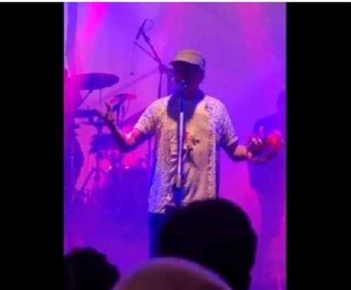 Zeca Baleiro interrompe show para dar bronca em bolsonarista contra Lei Rouanet; vídeo