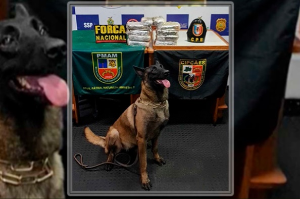 Polícia apreende 9kg de drogas e causa prejuízo de R$ 476 mil ao crime no Amazonas