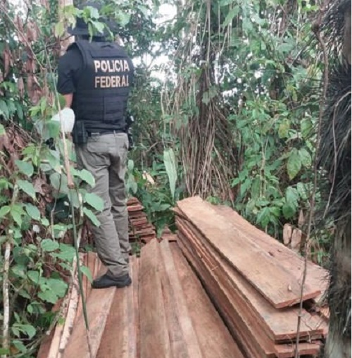 PF prende suspeitos por transporte ilegal de 2 toneladas de madeira no Amazonas