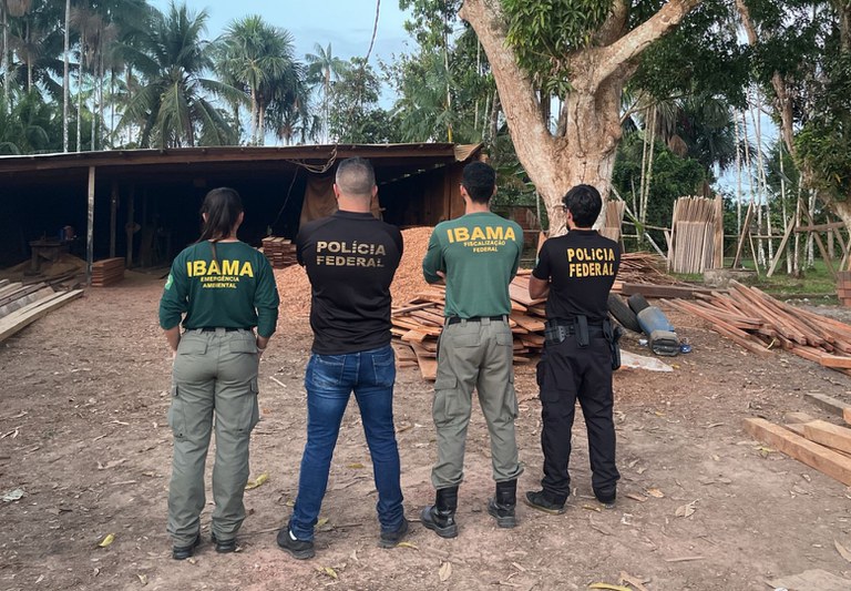 PF apreende 20 toneladas de madeira em serraria clandestina no Amazonas