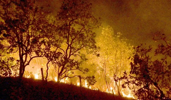 Incêndios: governo vai concentrar ações em 21 municípios da Amazônia