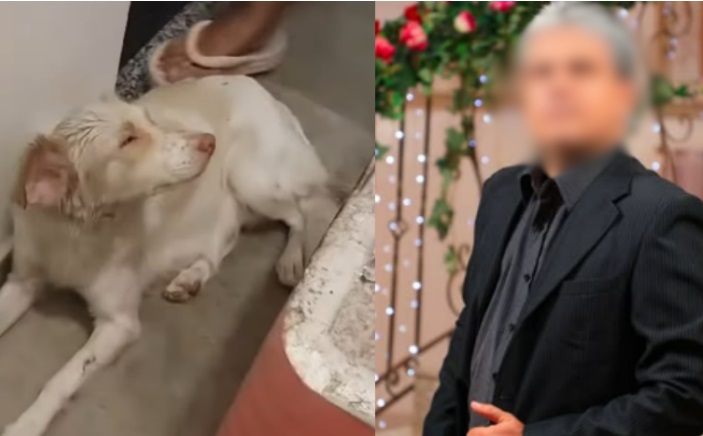 Fotógrafo suspeito de espancar cadela tem prisão preventiva decretada em Manaus