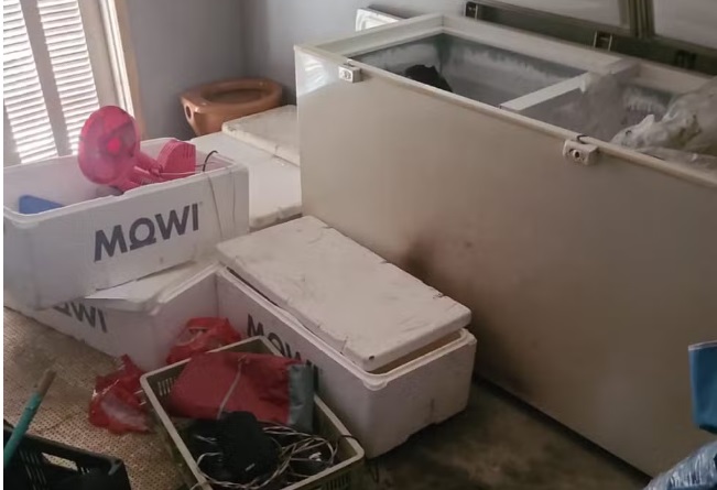 Mulher é suspeita de esquartejar, carbonizar e esconder corpo do marido em freezer