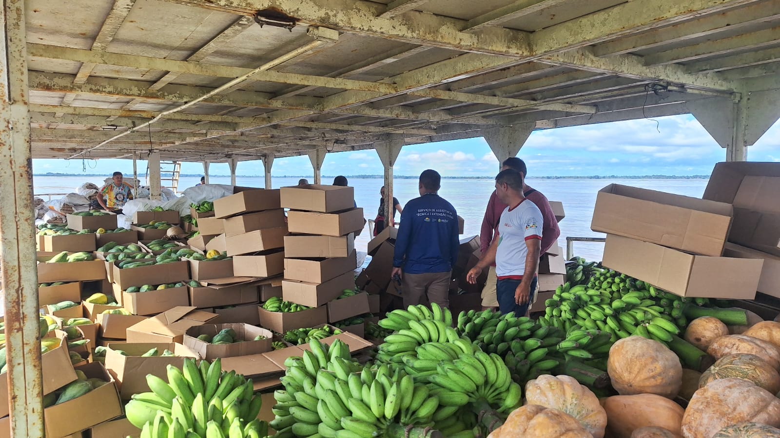 Governo compra 25 toneladas de alimentos de produtores rurais em Manacapuru