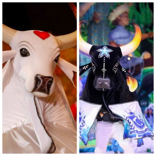 Bois Garantido e Caprichoso recebem repasse de R$ 10 milhões do Governo do Amazonas