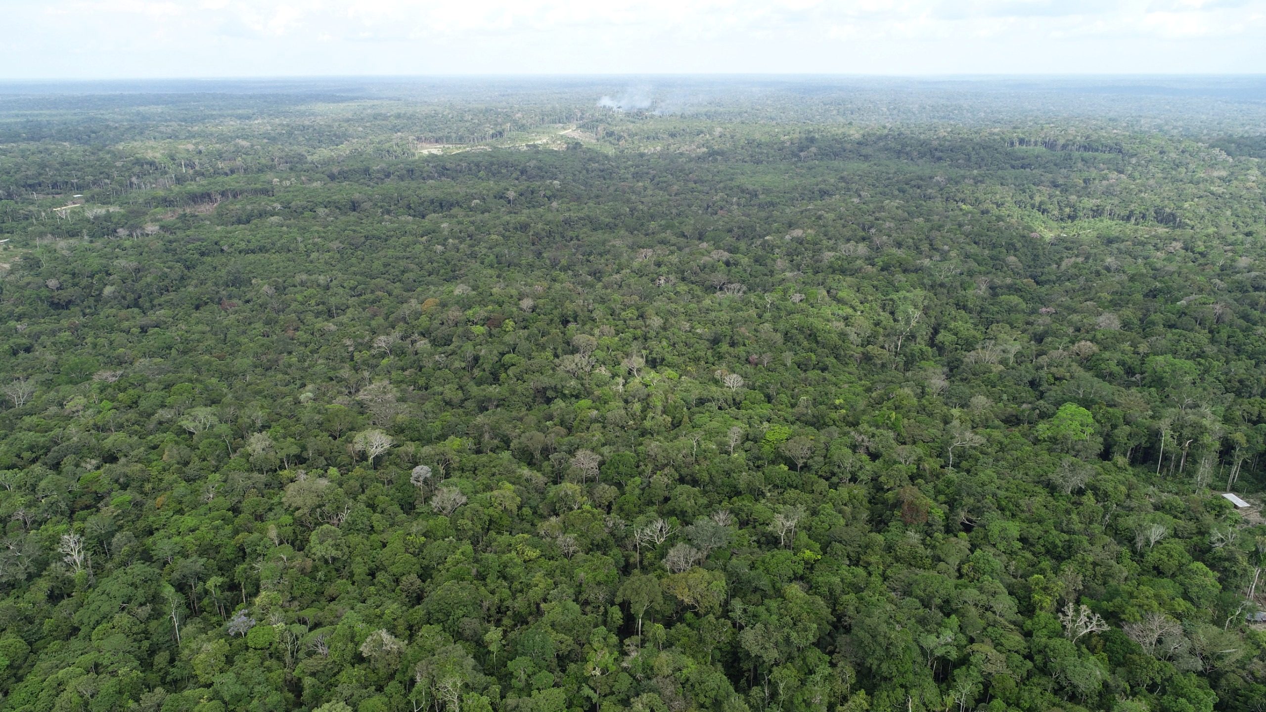 Amazonas registra queda de 21,09% no desmatamento e 37,5% nos focos de calor