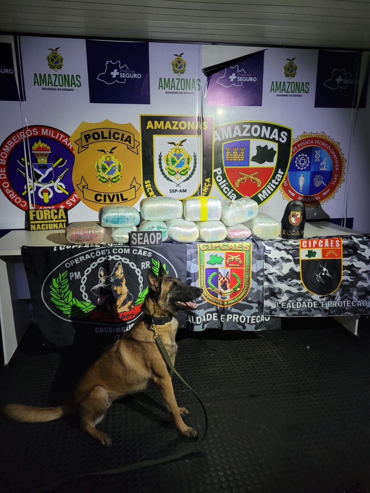 Mais de 20 kg de drogas escondidos em caixas com peixe são apreendidos em Coari