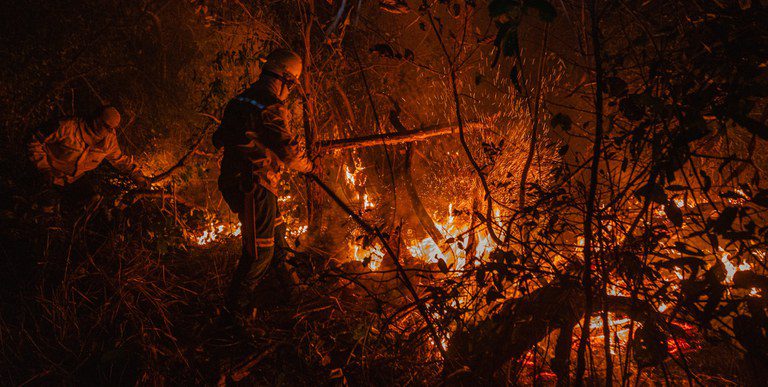 Fundo Amazônia aprova R$ 150 milhões para prevenção e combate a incêndios