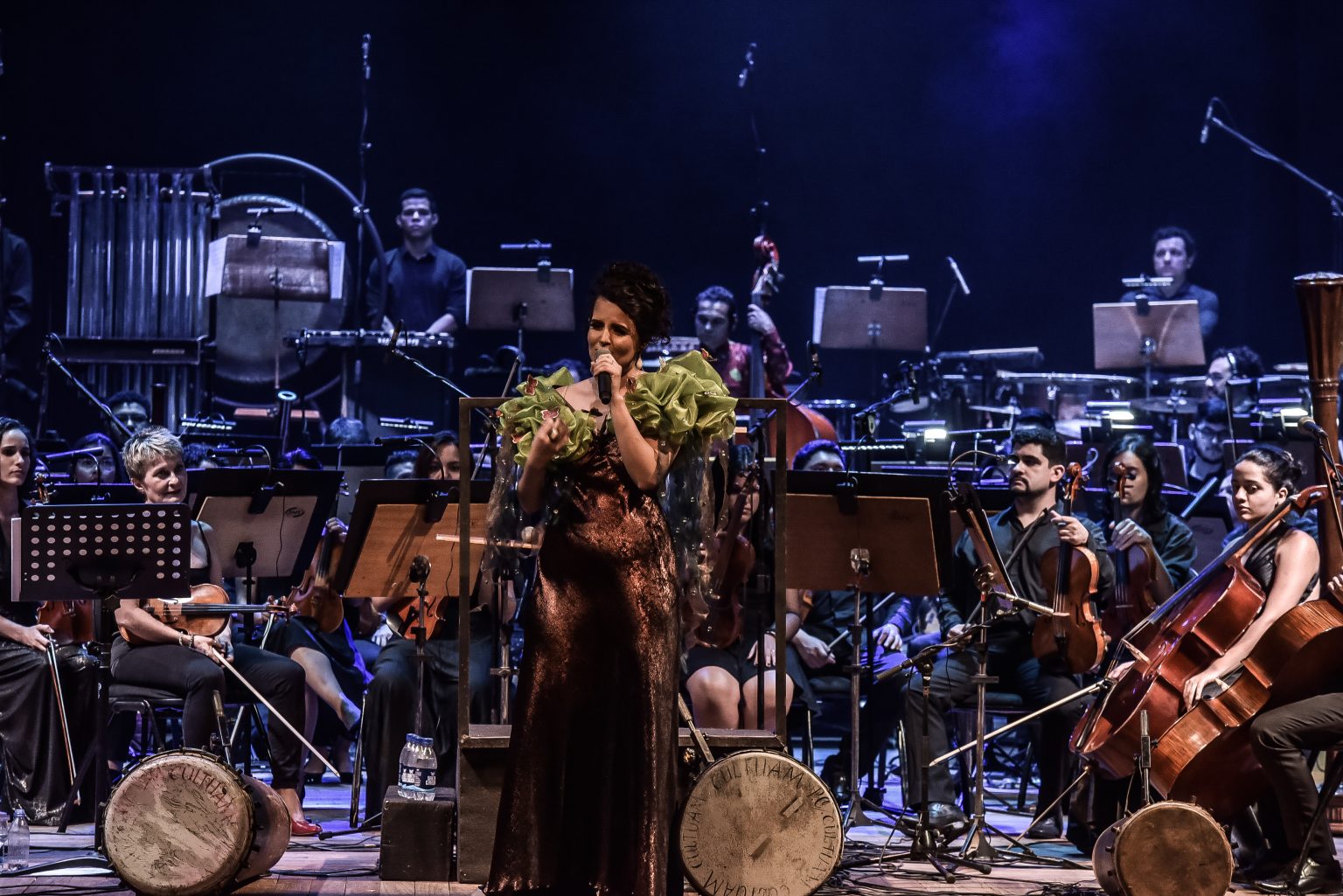 Cantora amazonense, Karine Aguiar é indicada à premiação internacional