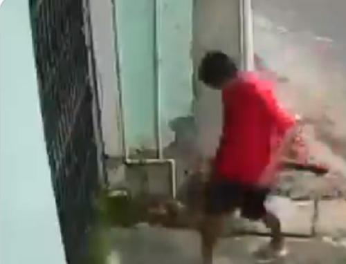 Suspeito de esfaquear cachorro agoniza até a morte após ser baleado em Manaus