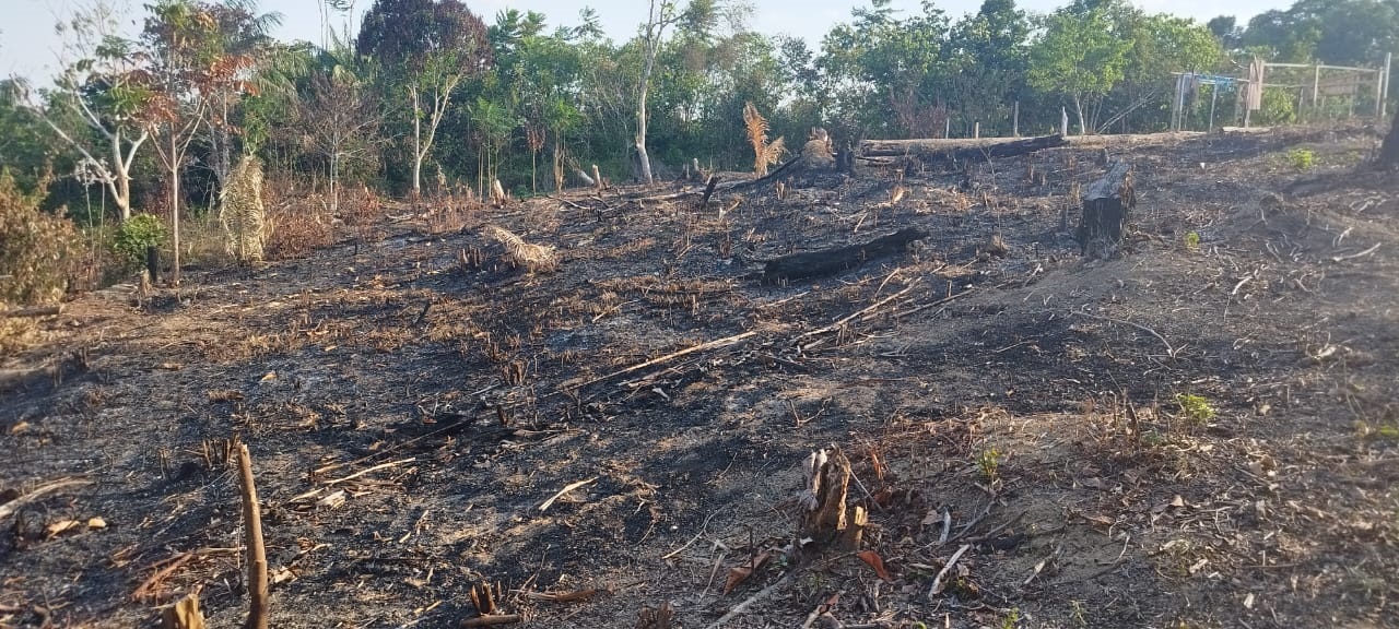 Suspeito é preso após atear fogo em terreno em Manaus